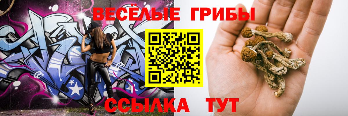 Галлюциногенные грибы мицелий  Галлюциногенные грибы MAGIC MUSHROOMS  Вход с VPN  Казань 